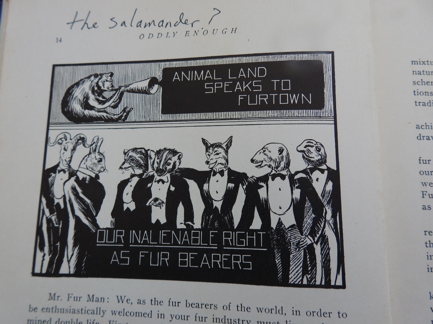Photograph of a page from the book 'Oddly Enough' with a cartoon depicting men with animal heads wearing tuxedos. The cartoon reads, 'Animal Land speaks to Furtown. Our inalienable right as fur bearers.' A handwritten note near the header wonders, 'the salamander?'