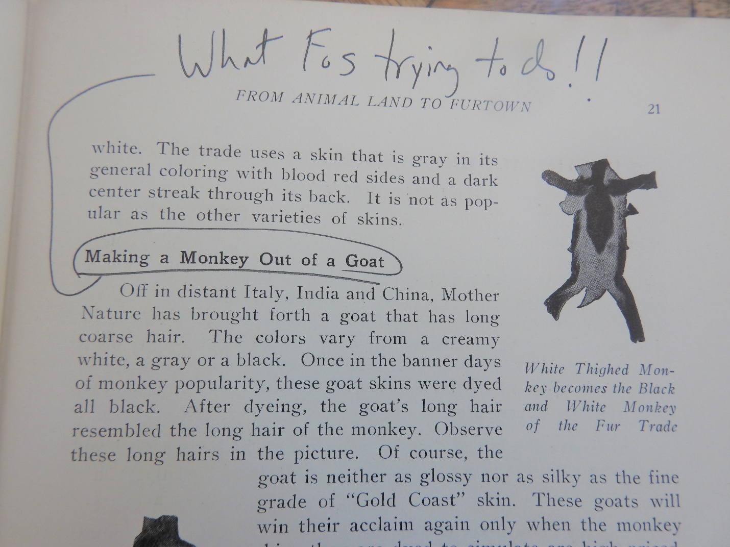 Photograph of a page from a book. The annotation at the top saying 'What FoS trying to do!!' connects to the circled section heading, 'Making a Monkey Out of a Goat'.